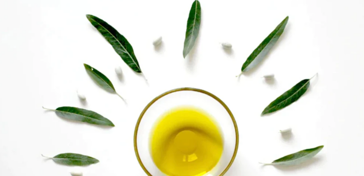 7 Incredible Health Benefits of Using Olive Oil In Your Recipes 41 Olive