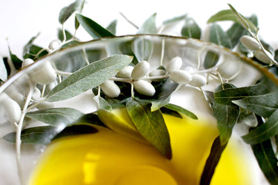 Is 'Olive Oil Better Than We Even Thought?