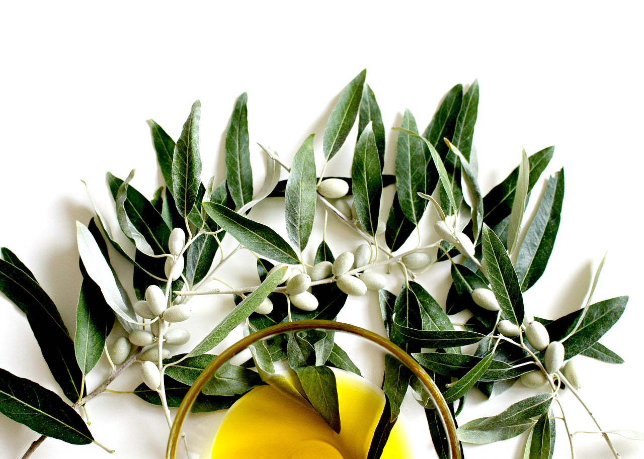 Reduce & Prevent Health Problems With Extra Virgin Olive Oil