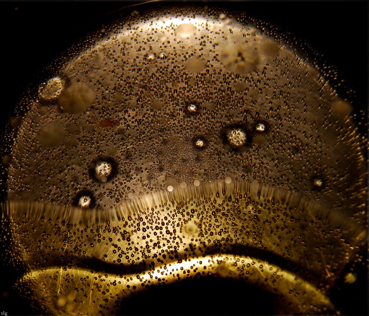 Learn About The Effect Of Cooking On Olive Oil Quality Attributes