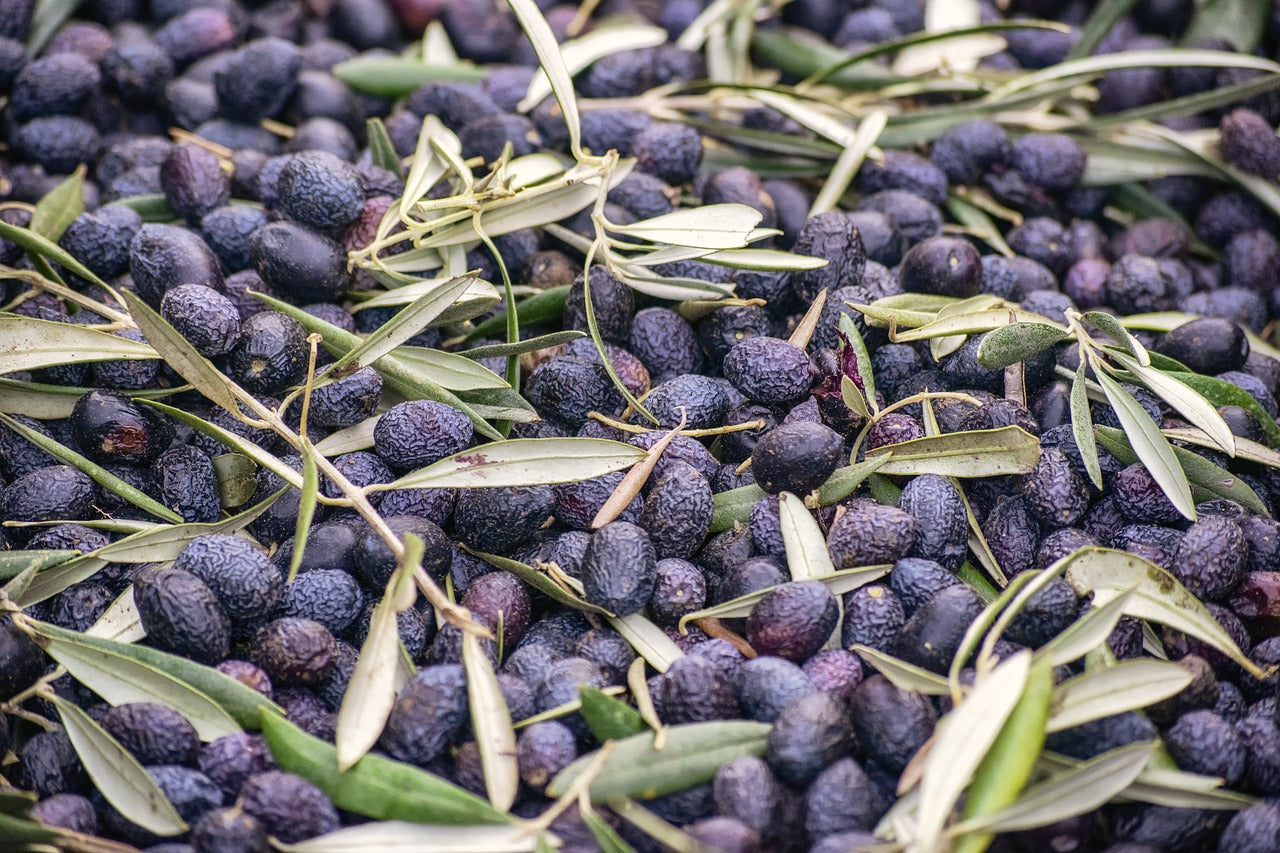 What is in Olive Oil? A Bit of an Insight...