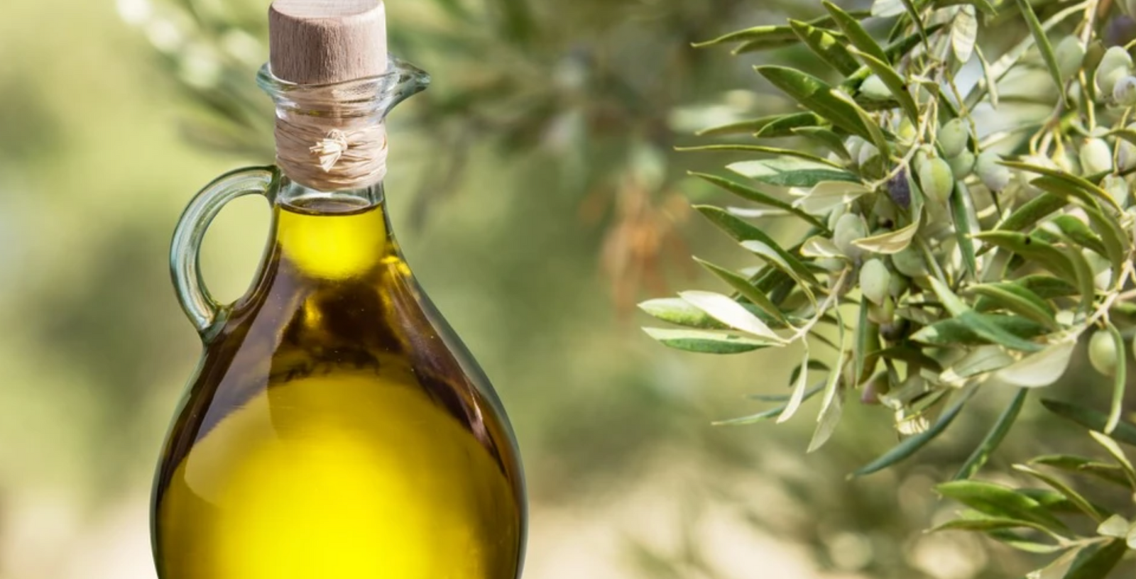 Help Reduce Cancer Cells With Extra Virgin Olive Oil