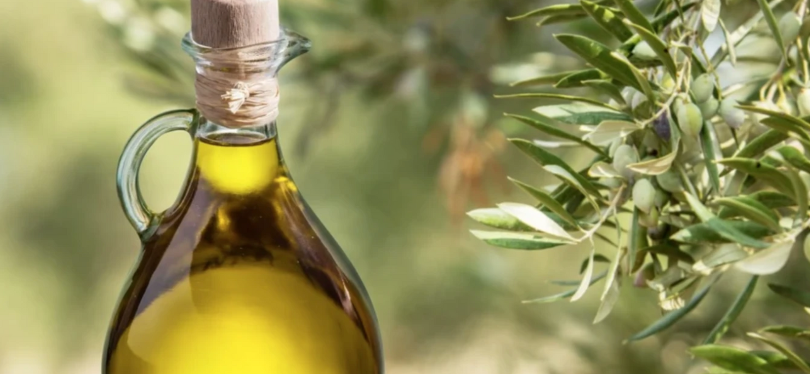 Help Bring Down Cancer Cells with Extra Virgin Olive Oil