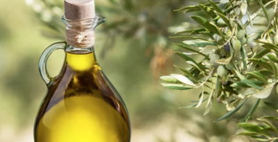 Aid In Lowering Cancer Cells With Extra Virgin Olive Oil