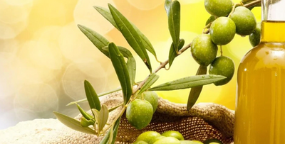 An Assortment Of Health Benefits That Can Come From Olive Oil