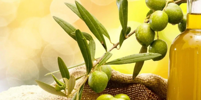 A Variety Of Health Benefits That Can Extract From Olive Oil