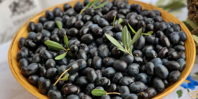 Leaning About Some of the Best Health Benefits of Olive Oil