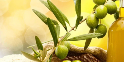 A Variety Of Health Benefits That Can Extract From Olive Oil