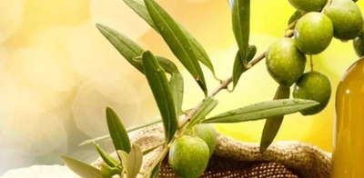 Learn About An Assortment Of Health Benefits That Can Extract From Olive Oil