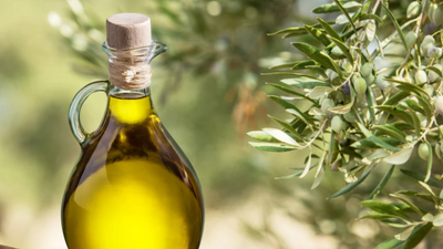 Essential Components In Extra Virgin Olive Oil Which Aid In Killing Cancer Cells