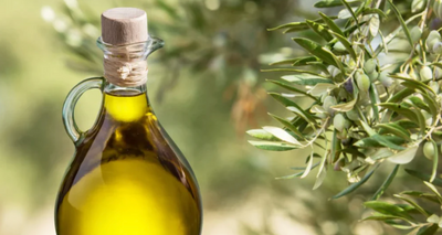 Pivotal Components In Extra Virgin Olive Oil Which Aid In Killing Cancer Cells