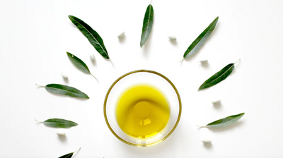 Incredible Health Benefits Of Using Olive Oil In Your Recipes