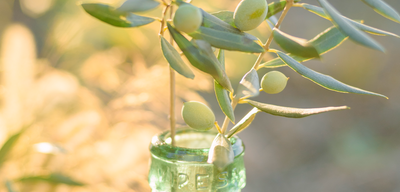 Does Olive Oil Reduce Its Benefits When Heated?