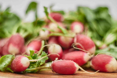 A Refreshing Twist: Radishes with Herbed Salt and Infused Olive Oil