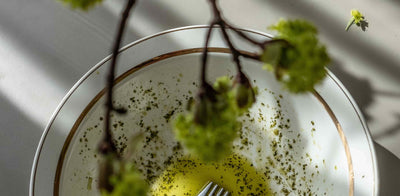 Unleashing the Gourmet Chef in You with Infused Olive Oil Recipes