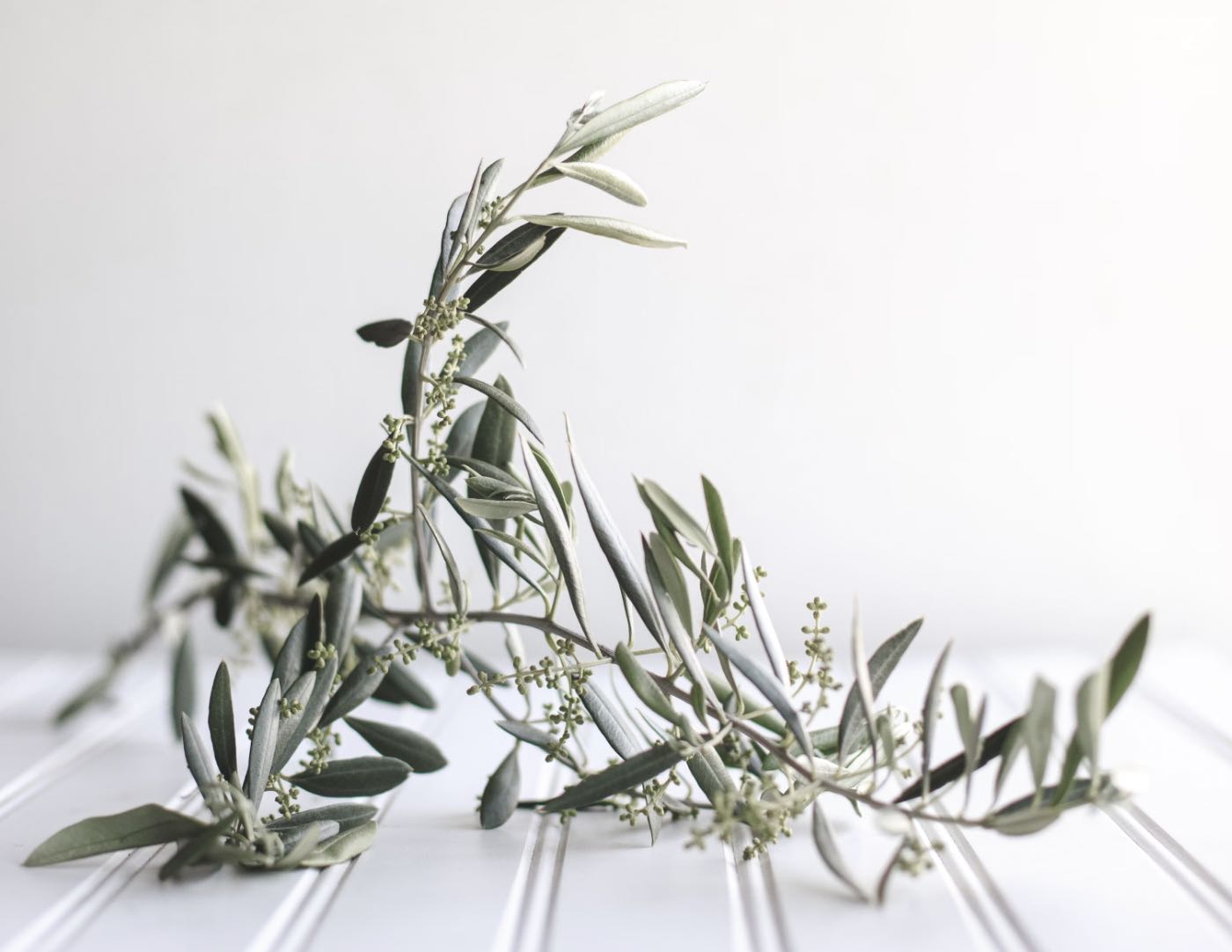 Delight in Diversity: Craft Diverse Dishes with Infused Olive Oil