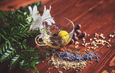 Discovering the Magic: Infusing Olive Oil with an Array of Herbs