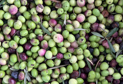 The Shelf Life of Infused Olive Oils: How Long Do They Last?